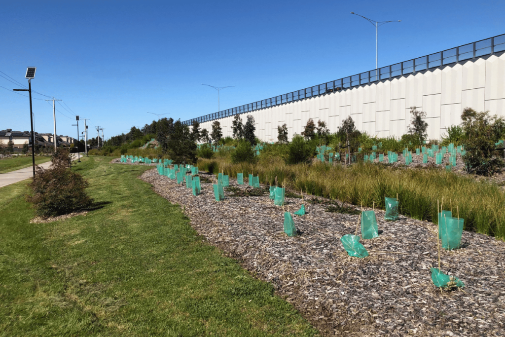 Cardinia Road Rail Project Ecodynamics Case Study