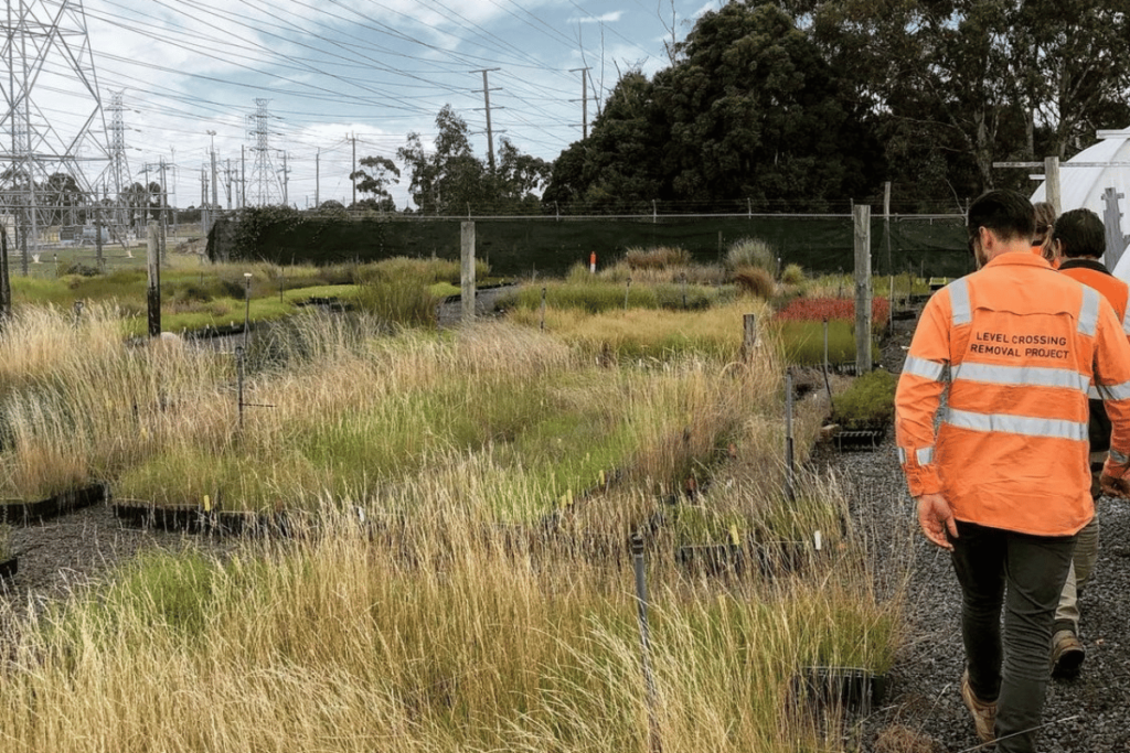 Old Geelong Road Rail Project Case Study Ecodynamics