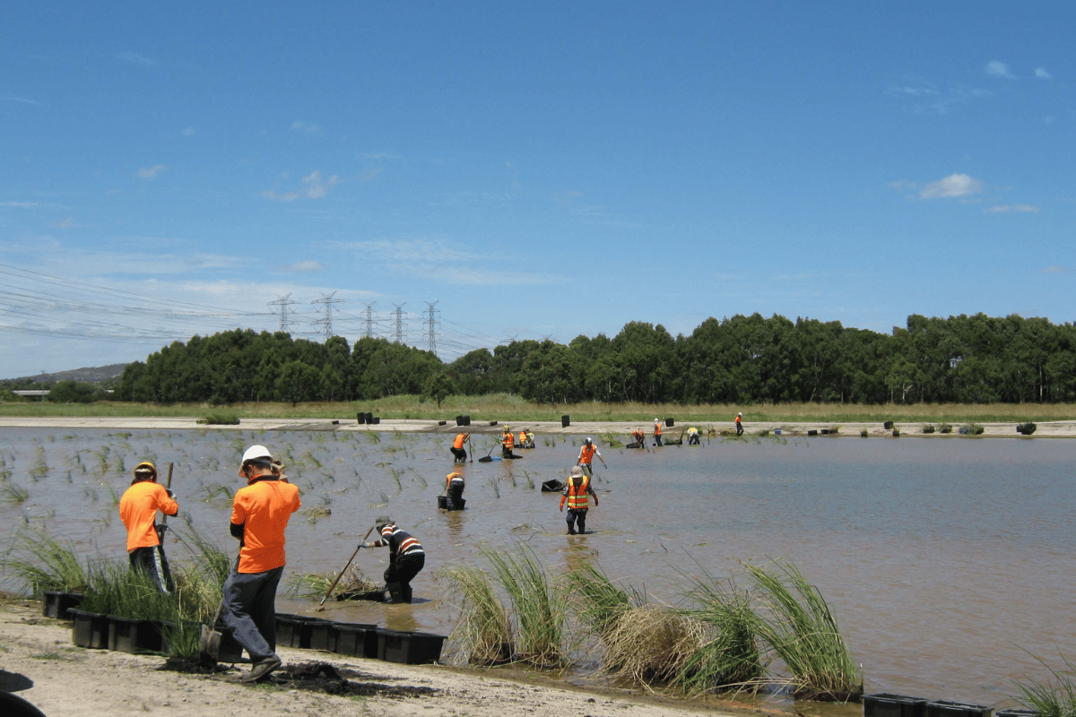 Construction Landscaping• Landscape Maintenance | ecoDynamics